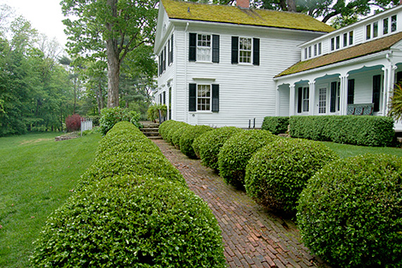 Large white house with beautiful yard and boxwood shrubs.